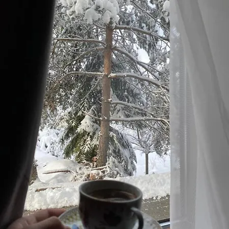 Stella Златибор