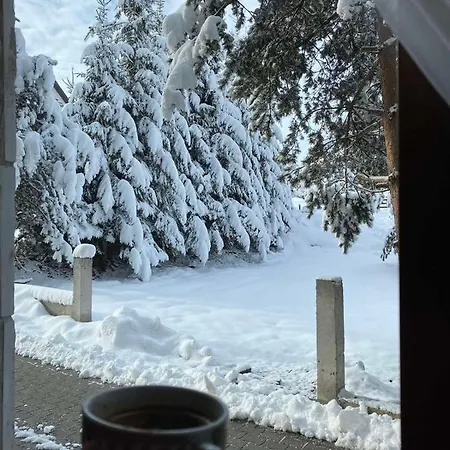 Stella * Zlatibor