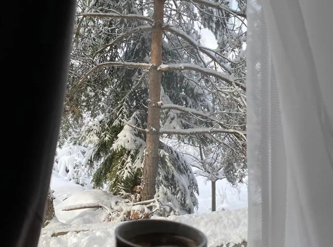 Stella 兹拉蒂博尔