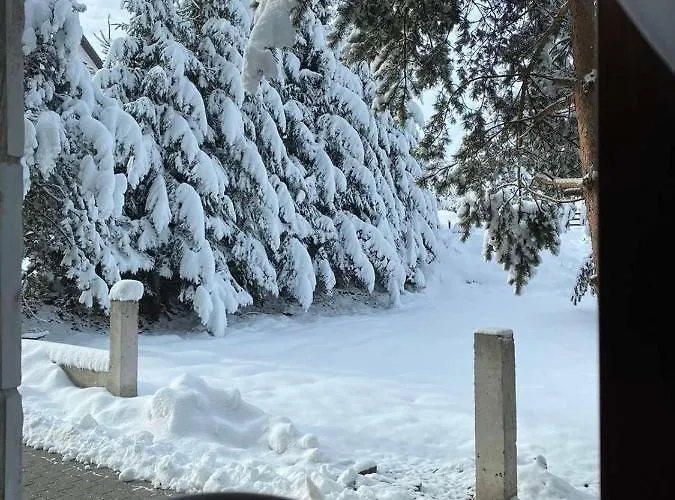 Stella * 兹拉蒂博尔